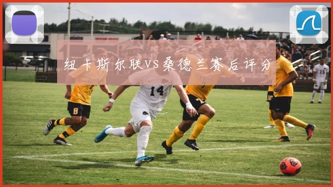 纽卡斯尔联vs桑德兰赛后评分