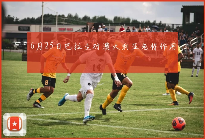 6月25日巴拉圭对澳大利亚老将作用