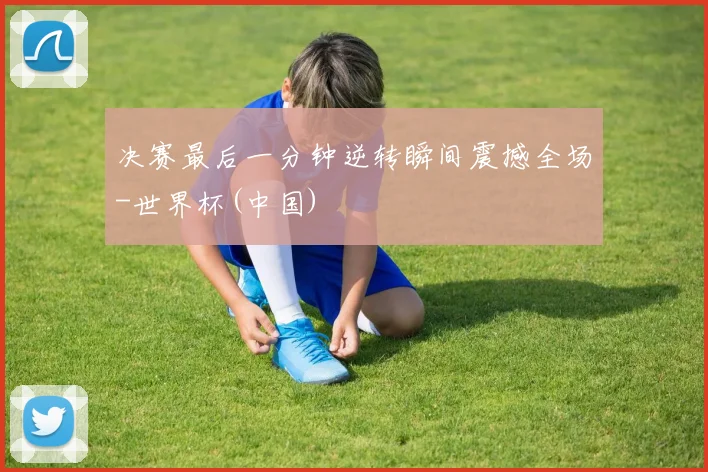 决赛最后一分钟逆转瞬间震撼全场-世界杯(中国)