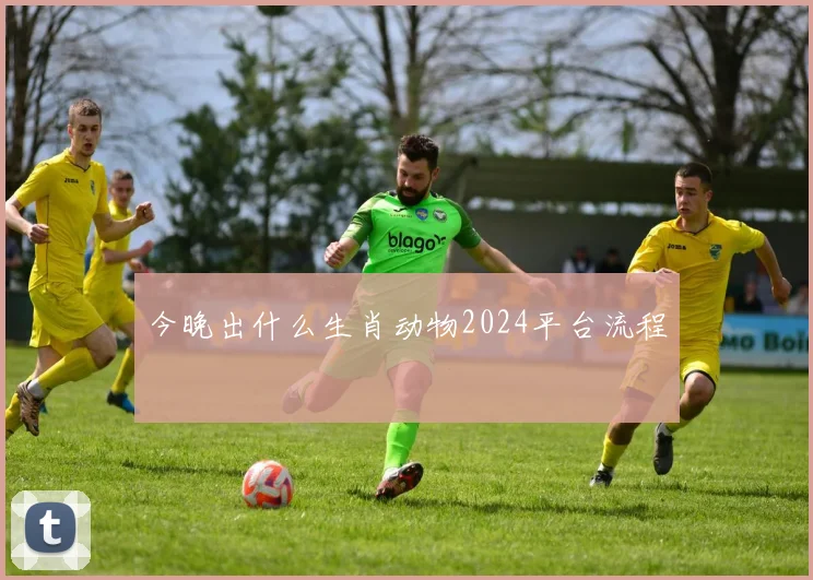 今晚出什么生肖动物2024平台流程