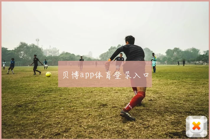 贝博app体育登录入口