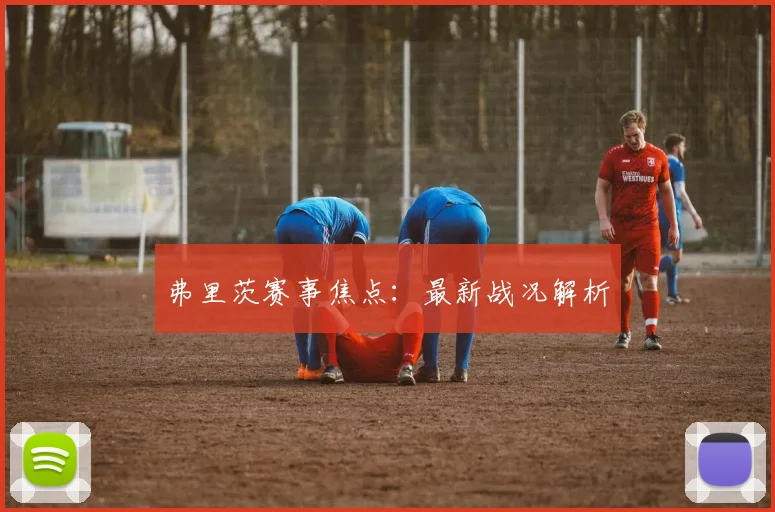 弗里茨赛事焦点：最新战况解析