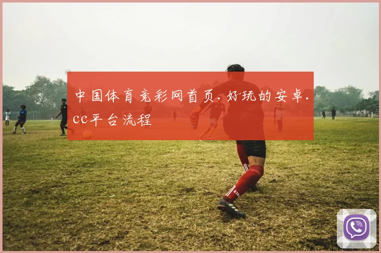 中国体育竞彩网首页.好玩的安卓.cc平台流程