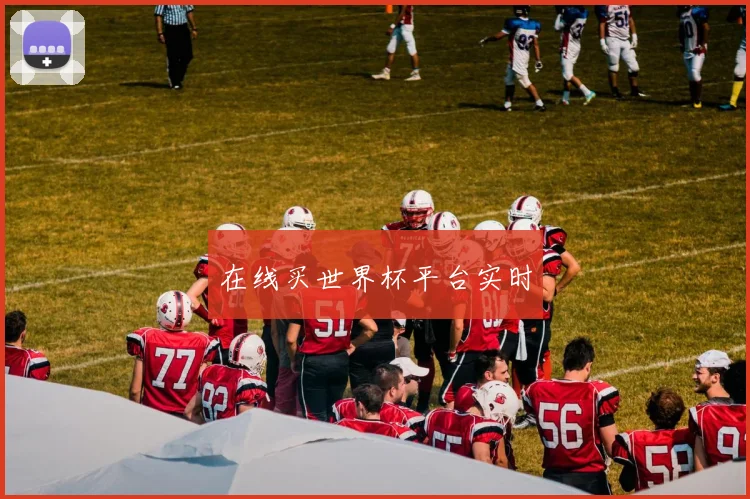 在线买世界杯平台实时