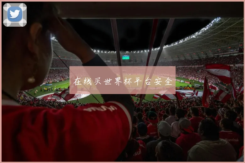 在线买世界杯平台安全