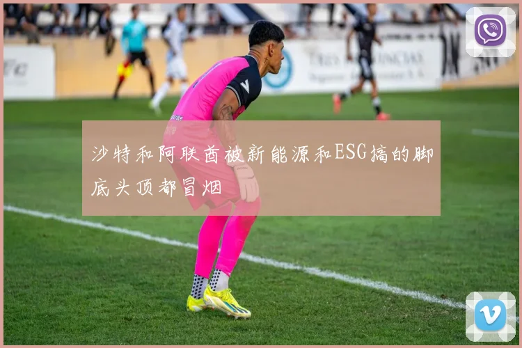 沙特和阿联酋被新能源和ESG搞的脚底头顶都冒烟