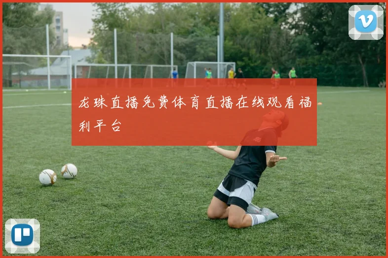 龙珠直播免费体育直播在线观看福利平台