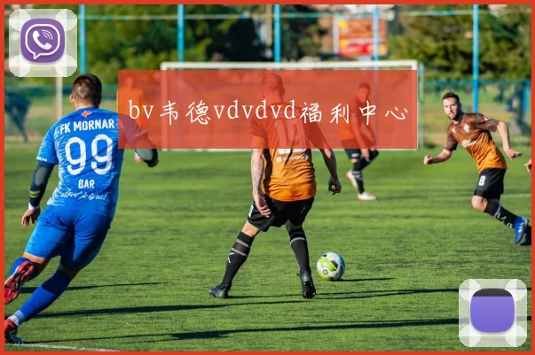 bv韦德vdvdvd福利中心