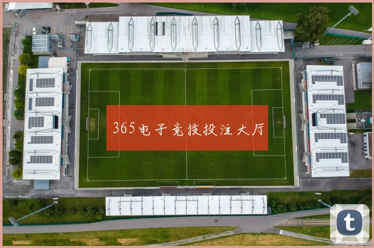 365电子竞技投注大厅