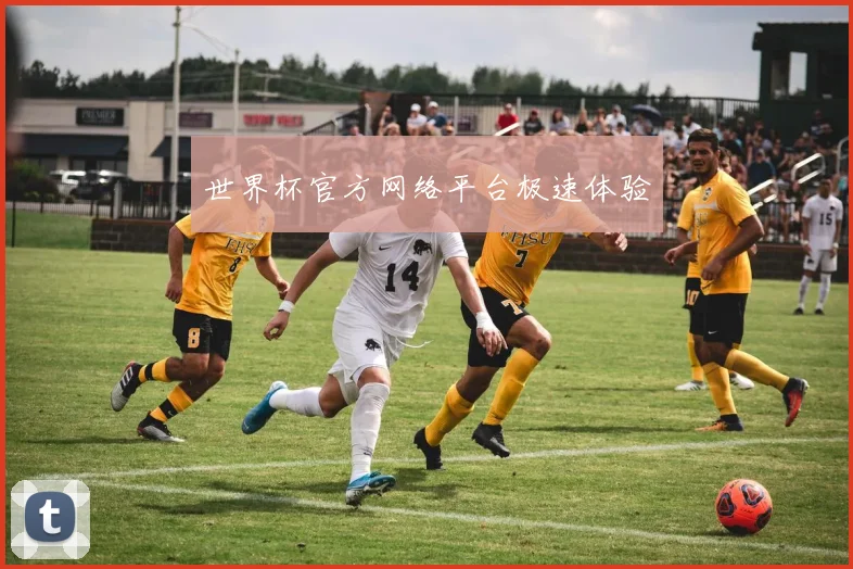 世界杯官方网络平台极速体验