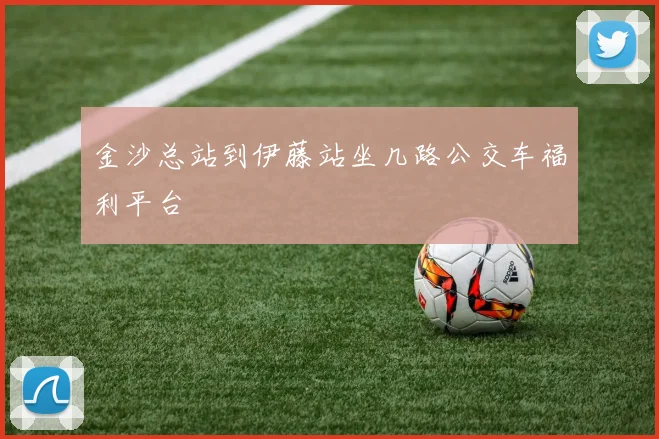 金沙总站到伊藤站坐几路公交车福利平台