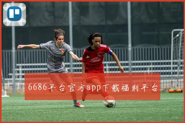 6686平台官方app下载福利平台