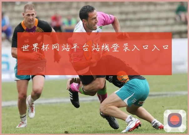 世界杯网站平台站线登录入口入口