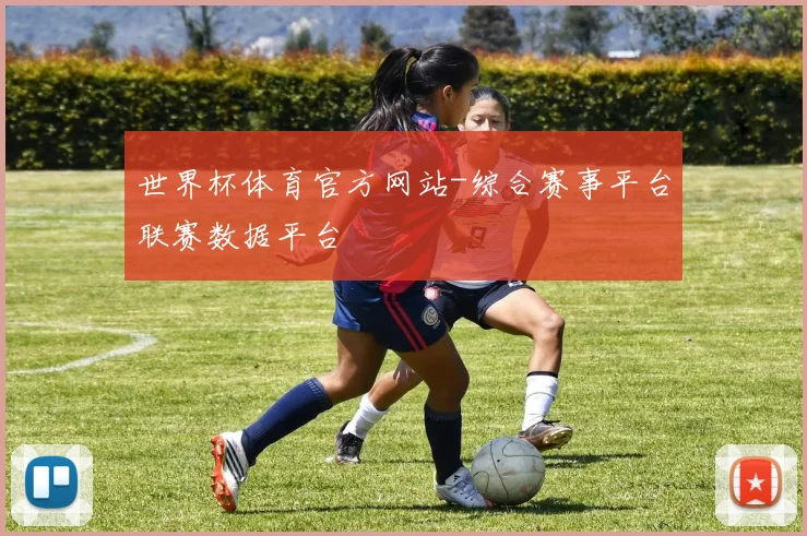 世界杯体育官方网站-综合赛事平台联赛数据平台