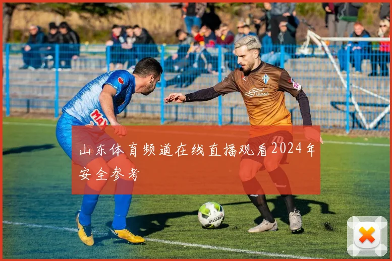 山东体育频道在线直播观看2024年安全参考