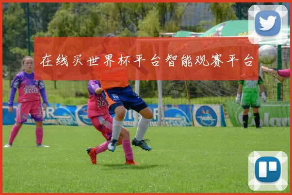 在线买世界杯平台智能观赛平台