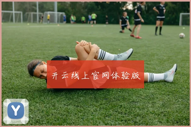 开云线上官网体验版