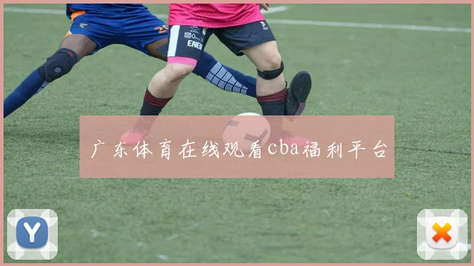 广东体育在线观看cba福利平台