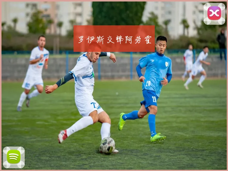 罗伊斯交锋阿劳霍