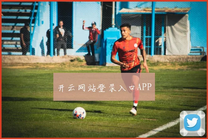 开云网站登录入口APP