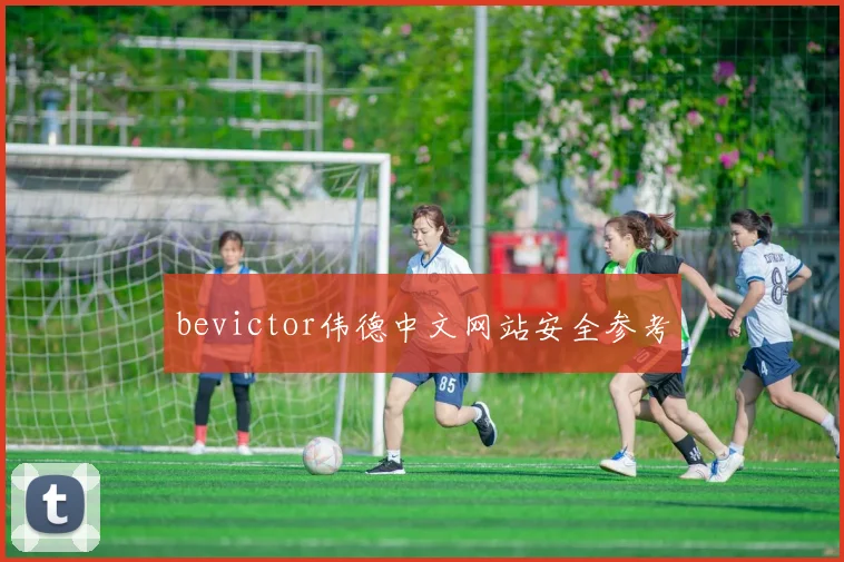 bevictor伟德中文网站安全参考