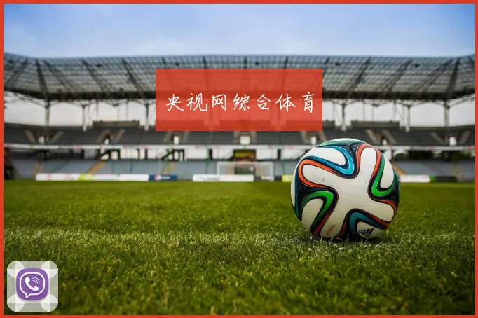 央视网综合体育