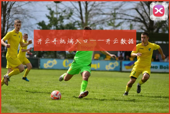 开云手机端入口——开云数据