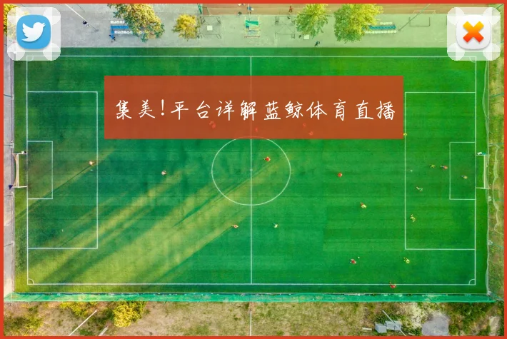 集美!平台详解蓝鲸体育直播