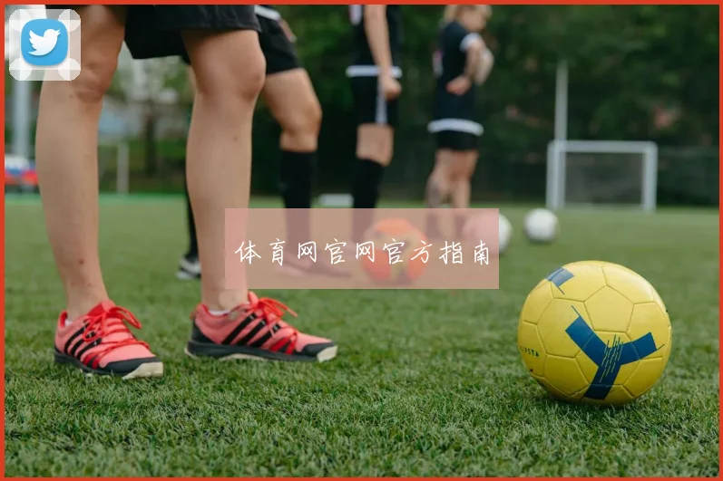 体育网官网官方指南