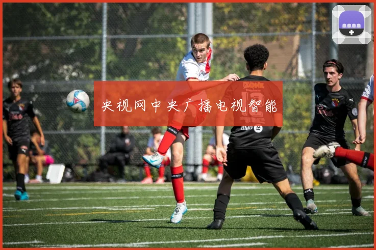 央视网中央广播电视智能