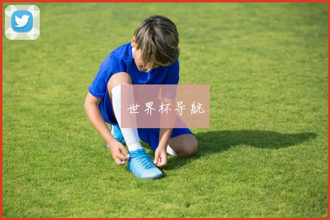 世界杯导航