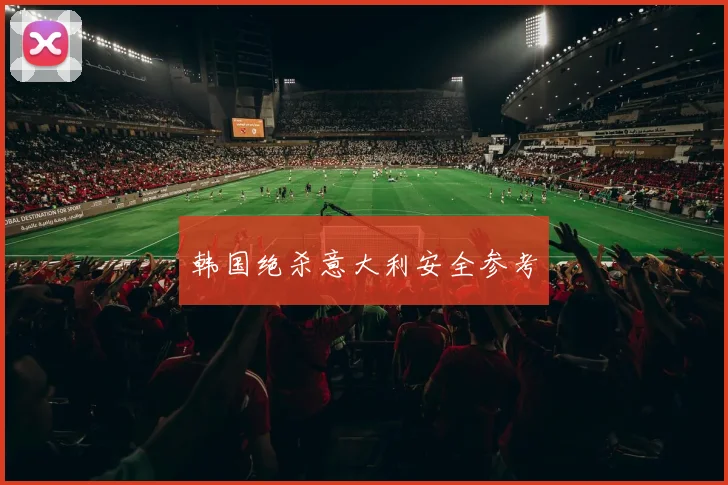 韩国绝杀意大利安全参考