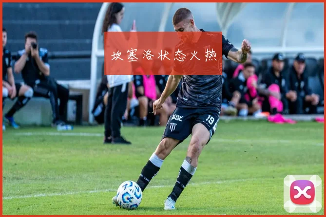 坎塞洛状态火热