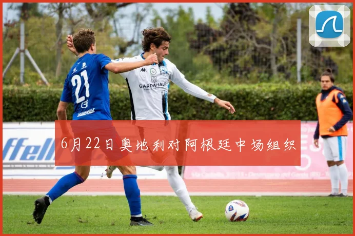 6月22日奥地利对阿根廷中场组织