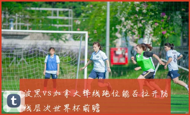 波黑vs加拿大锋线跑位能否拉开防线层次世界杯前瞻