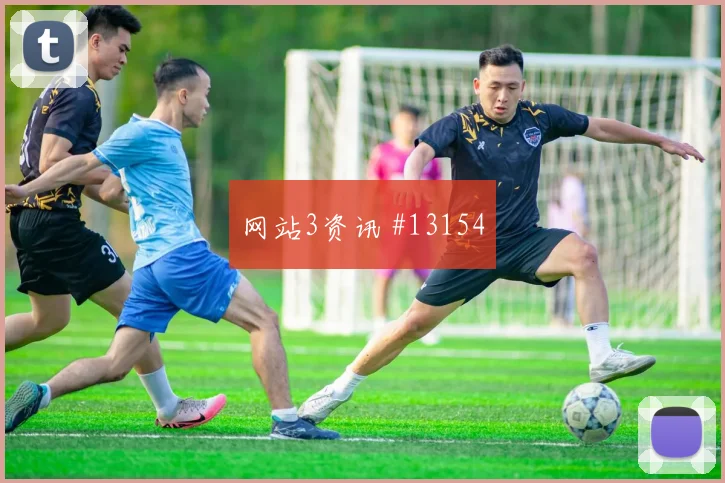 6月25日巴拉圭对澳大利亚老将作用